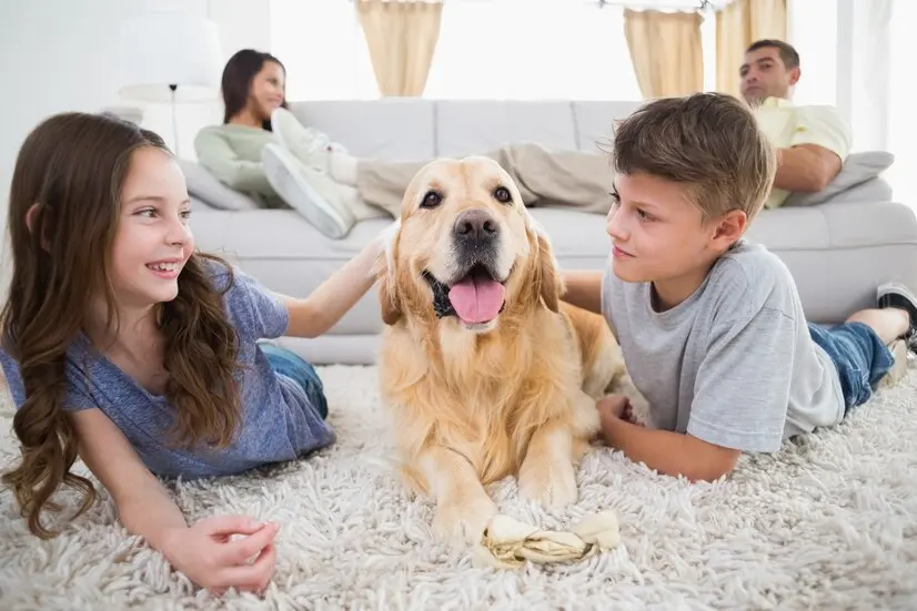 Family with dog enjoying a clean home